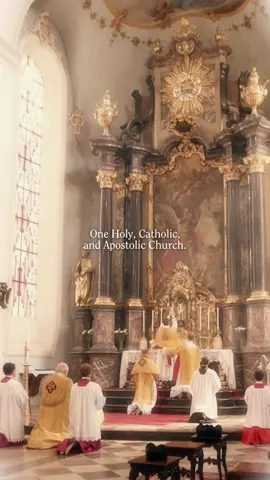 the Church is more than a building. the Church is One, Holy, Catholic, and Apostolic. founded by Christ, guided by the Spirit, and alive in every time and place!!! what a gift to belong to this family of faith. ♱ #catholic #catholictiktok #catholicchurch #catholicism #catholicfaith 