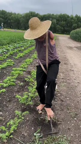 #foryoupage #fypシ゚viral #farmer 