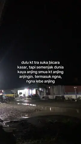 Pokoknya anjing
