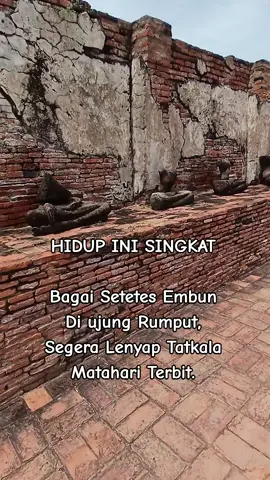 malam sahabat tiktok, salam bahagia, salam sukses#fyppppppppppppppppppppppp #trend #quotes #viraltiktok #fypage 