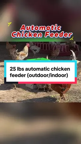 25 lbs automatic chicken feeder (outdoor/indoor)#farm #chicken #chickenfeeder #chickenfeed #automaticfeeder 