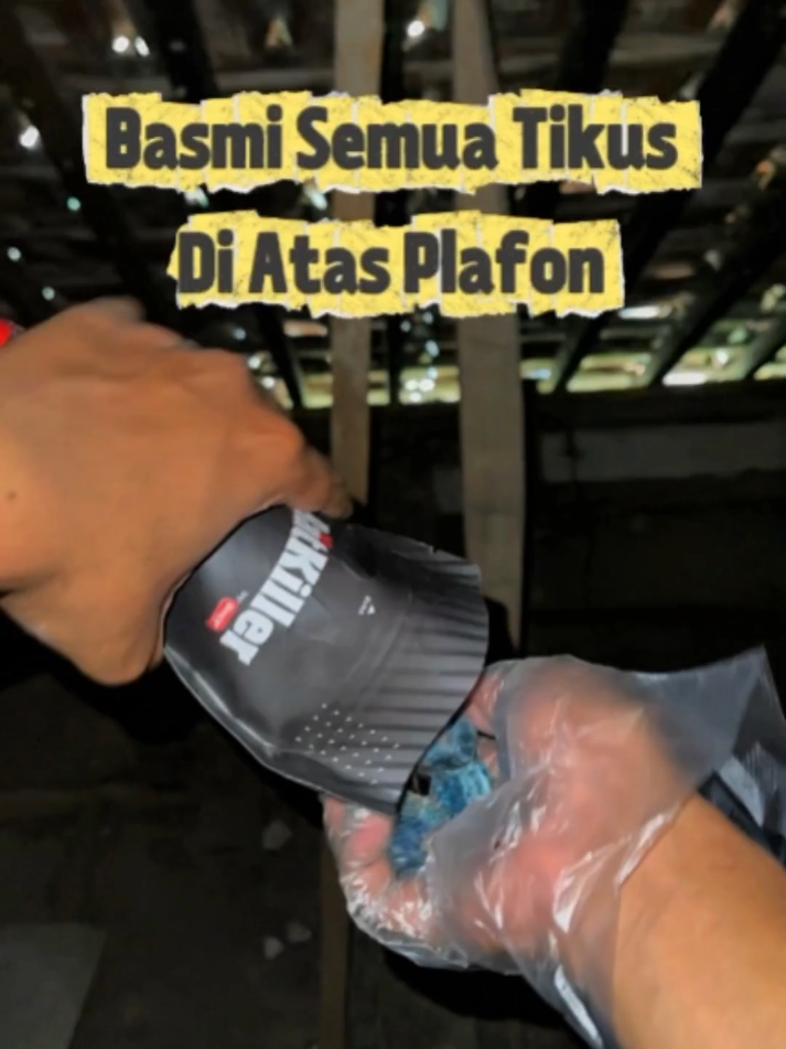 Atap rumah & Plafon banyak tikus paling cocok pakai ratkiller ini #hamatikus #gajiansale #promoguncang99 
