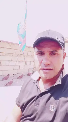 اذا ما عجبك المنشور اعبر #اكسبلور #فزعتكم #صعدو_الفيديو #جناية الطيور شلع قلع # احمر ارفلي زاجل تار اصفر كومرلي زبيري لوت ازرك مسكي  يعني جميع جناي بلعراق #كباتن 