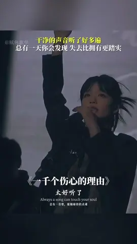 #上热门 #一千个伤心的理由 #好歌分享 #经典歌曲 #mlmlyrics 