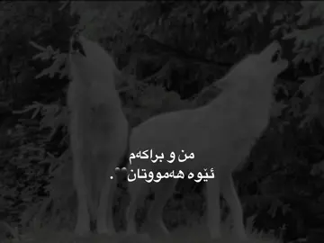 #foryou #fyp #rasty_lak ♥️🍁