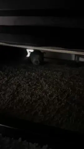 She’s almost too big to fit under the bed 🤣 #fyp #PetsOfTikTok #staffysoftiktok 