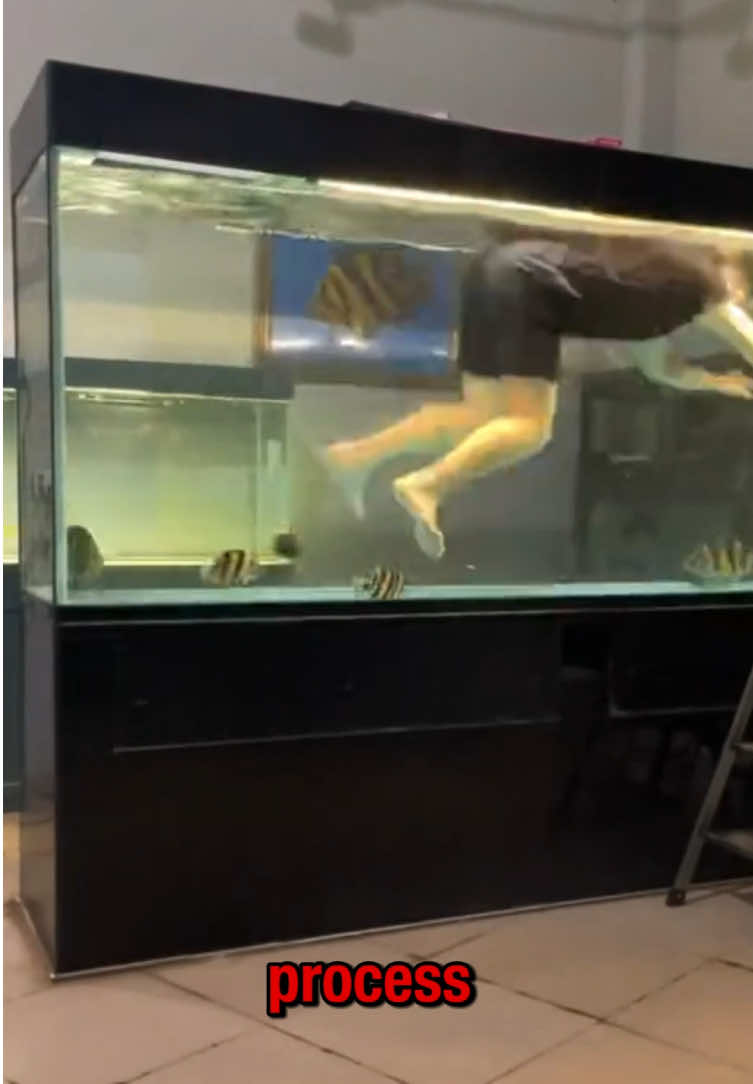 Tired of algae? This might be the easiest solution! #AquariumHacks#Aquarium #brush #clean 
