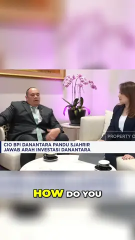 Arah Investasi Danantara, simak sampai selesai 🫡 #pandusjahrir #danantara 