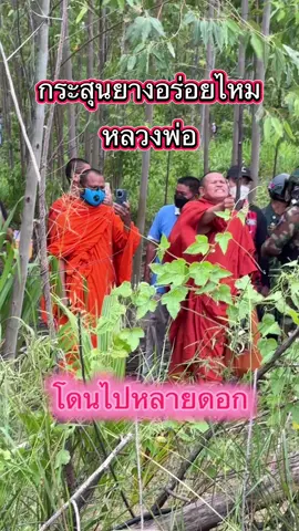 หลวงพ่อโดนจัดหนัก  😁😁 #หนองหญ้าแก้ว #บ้านหนองจาน #ไทยนี้รักสงบเเต่ถึงรบไม่ขลาด 