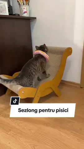 Sezlongul e luat de pe Temu 🥰 #pisica #sezlong #unboxing #temufinds #fypromania 