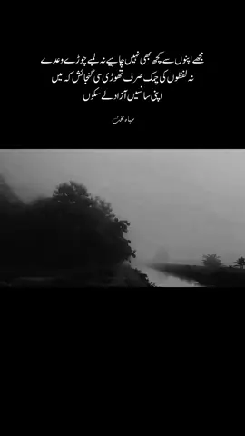 مجھے اپنوں سے کچھ بھی نہیں چاہیے نہ لمبے چوڑے وعدے، نہ لفظوں کی چمک صرف تھوڑی سی گنجائش کہ میں اپنی سانسیں آزاد لے سکوں #foryoupage #foryou #fyp 