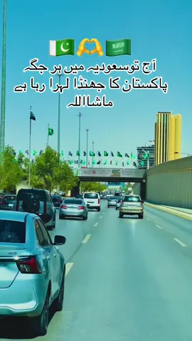 #creatorsearchinsights #saudiarabia🇸🇦 #riyadh🇸🇦 