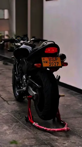 BGP 🖤                                                                     #honda #hornet #viralvideo #trending #onemillionaudition #srilanka  