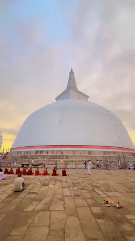Sacred Buddhist sites Sri Lanka #Ruwanwelisaya #Anuradhapura #SriLankaHeritage #BuddhistCulture #GoldenHourVibes