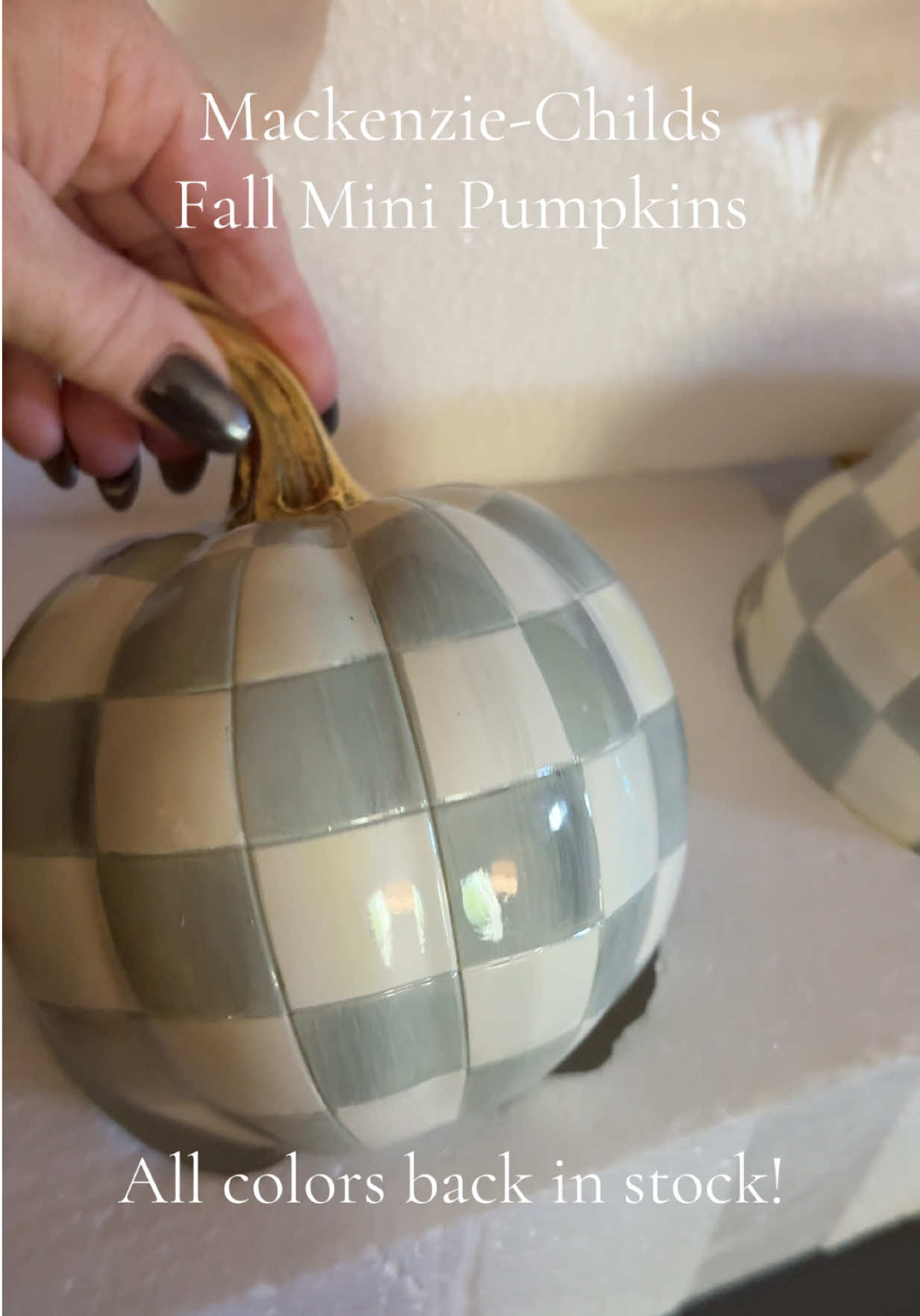 Love these! #mackenziechilds #falldecor #tiktokshopblackfriday 