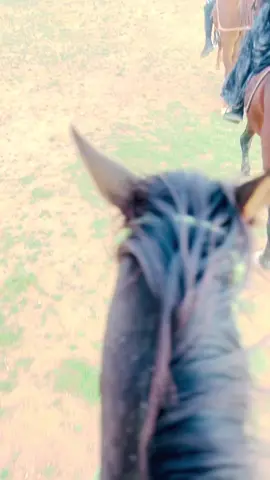 #fardokaabe #faras #fypシ゚ #somaliatiktok #somalilandtiktok💚🤍❤ #darawiishgirl🐎❤️ #somaliland #somaliland #hargeisa #hargeisa #darwiish🐎 #baligubadle❤💟💚 #tik_tok 