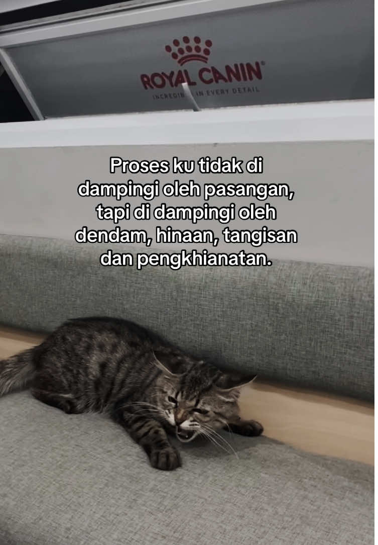 Enjoy Bitch #fypシ #4u #story #xyzbca #whatsappstatus 