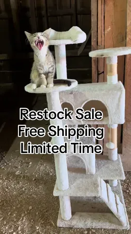 Cat Shelf/Cat Tower 54in #cattower #cats #catslovers #cattree #cat 