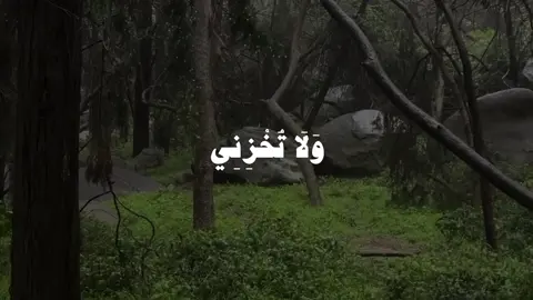 ياسر الدوسري - ولا تخزني يوم يبعثون || حساب وقناة القران بالبايو #قران #quran 