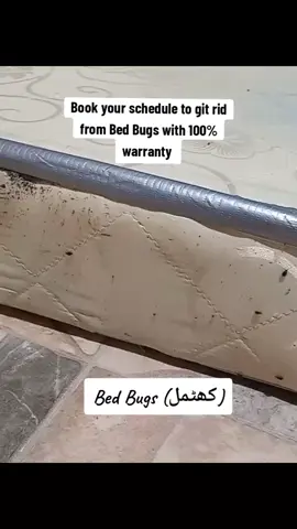 Get rid from Bed Bugs with 100% warranty, book your schedule right now 0304-4638606 #bedbugs #khatmal #khatmaltreatment #enviedapestmanagemen #khatmalspray @Ayub Shaikh Advocate @Harry's Salon 
