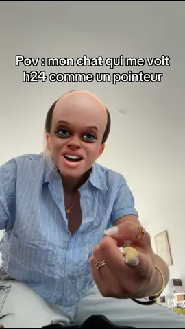 Nos pauvres chats 😂🐱