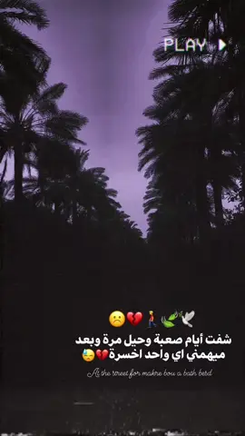 💔🕊#استوريات_انستا_واتساب  #المصمم_حسوني🔥✈️ 