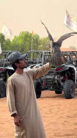 Booking Reservation 📲☎️ -Contact Us Now | Book Your Trip Now . 🏜️Desert safari  ☎️📲WhatsApp: +971501792333 *Everyday* ⏰Pick up Time: 3:00 - 3:30PM ⏰Drop Back Time: 10:00 - 10:30 PM Desert Safari Package Includes: *  Pick and Drop from your hotel/home. (Shared and private car both available) 🚗Red Sand Dune Bashing In At High Dunes. *  7+ Live Entertainment Shows  💃2 Belly Dance 🔥2 Fire Show                                                           🕺2 Tanoura Show, Yalla Dance, Mascot Show 🐫Short Camel Ride.  🏂Sand Boarding ✋ Henna Tattoo for Ladies/Kids  ☕️ Unlimited Water, Soft drinks, Tea & Coffee in camp 🏕️  📸Sunset Photography (with your own camera) 🍟I 15+ items Buffet Dinner, Vegetarian & Non-Vegetarian with BBQ *Free Arabic hookah in a designated area. Up to 3 years old kids are free /OUT Quad bike and buggy tour(extra cost) Licensed and Professional Drivers. Licensed Company In Dubai Tourism Depart. Sanitized Vehicles. 🚗  Separate Toilets for Men and women. • Neat and Clean Desert Camp.🏕️  NOTE: *No Cancellation Or any other Changes at same day. That will be fully charged* Desert Safari Dubai🏜️ T #dubai #mydubai #dubaidesert#desert #desertsafari