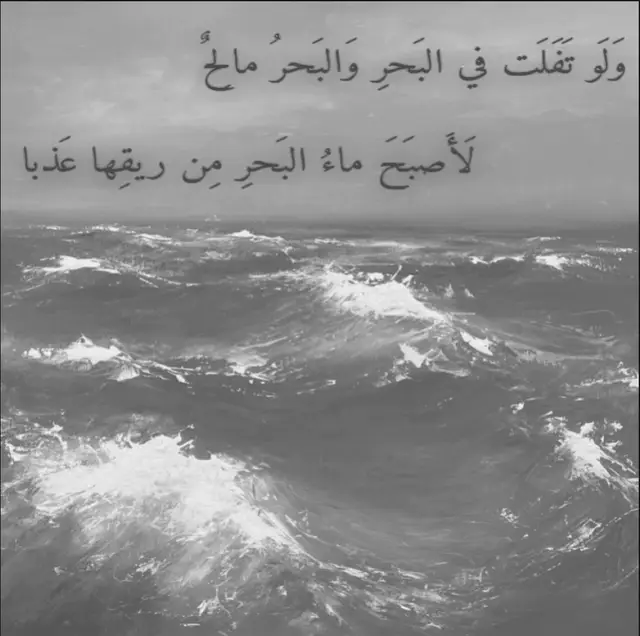 #شعر #فصحى #مجنون_ليلى #تهاويل #قيس_بن_الملوح #foryoupage #fyp 