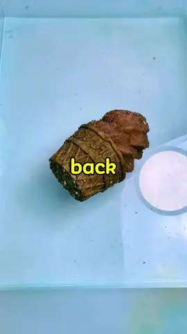#trending #viral #fyp #askreddit #satisfying 