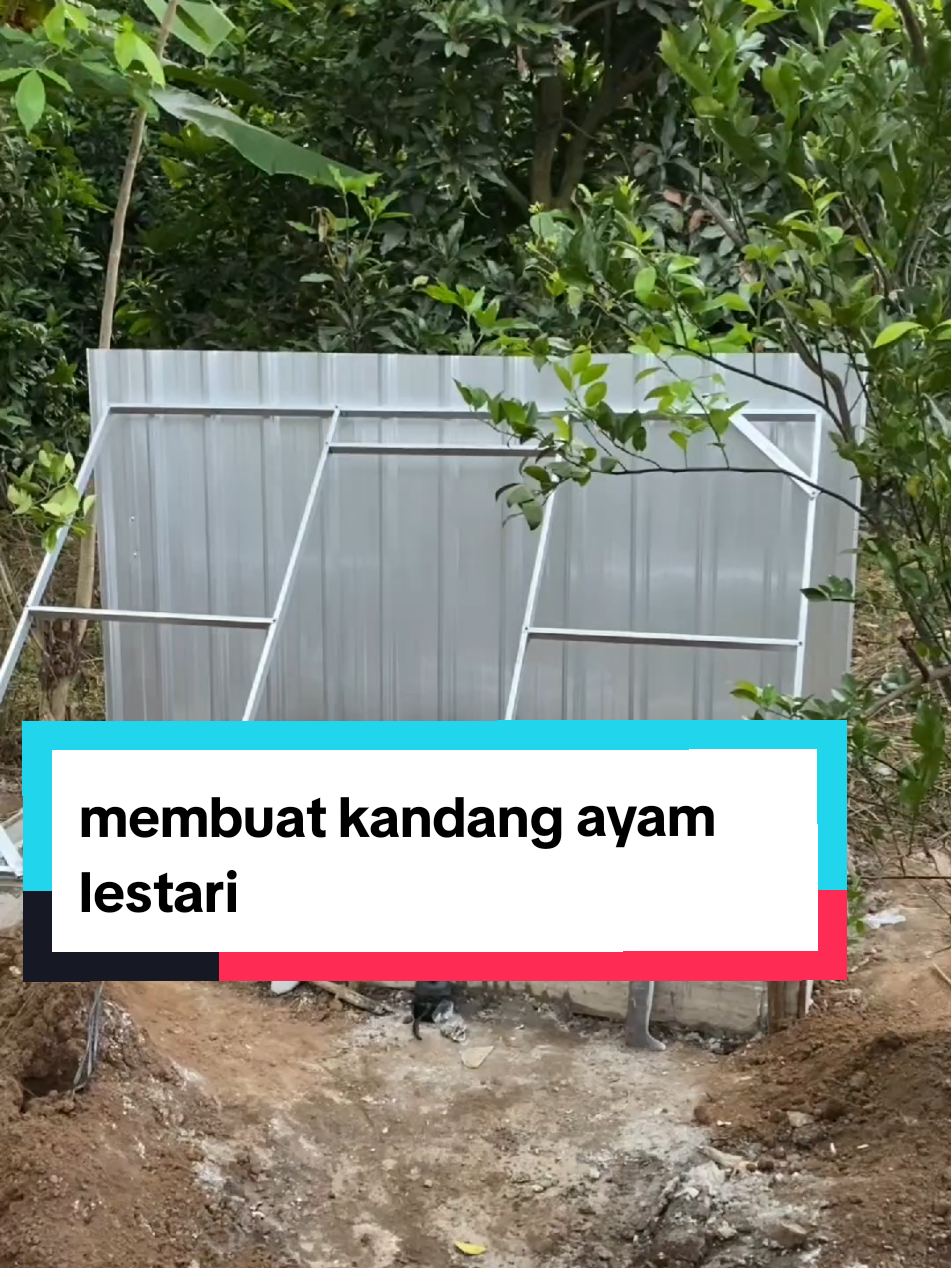 membuat KASTARI kandang ayam lestari by yoso farm #santosogardenfarm #peternakmuda #kebunsayurtanamsendiri 