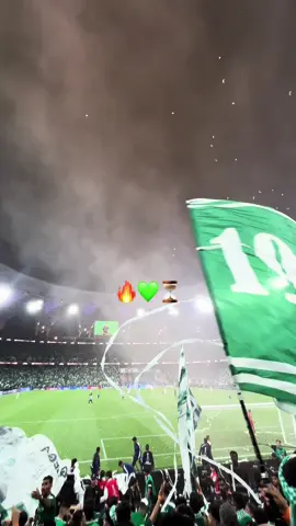 23/Sep ⏳🔥💚💚 #ahli #💚 #jeddah #intercontinental #fifa @النادي الأهلي السعودي 