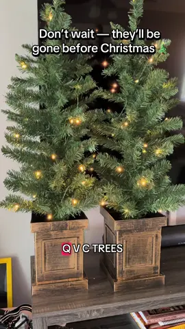 Holiday magic, made simple. 🎄✨ This set of two 3.5’ pre-lit potted trees brings instant Christmas charm to your entryway, porch, or living room. Battery-operated, no messy cords — just plug, play, and enjoy the glow. 🕯️ Perfect for adding that warm, welcoming sparkle this season. ❄️❤️ #christmasdecor #christmasdecorations #christmasdecorating #qvc #christmastrees @QVC, Inc 