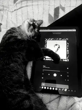 #hope- XXXTENTACION #lyrics #cat #xxxtentacion #4upage 