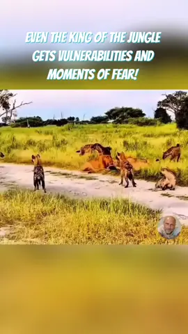 #therealtommymarks  #kingofthejungle    #fypシ゚viral #fypシ #videoviral 