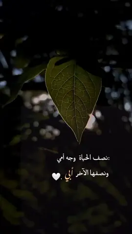 🤍🌸🌸..  #شاركوو #اكسبلور #fypシ #fyp 