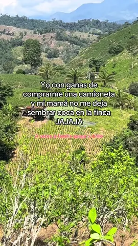 #finca #contenido #pichari_vraem💚🦋🌴🦜 #dejatucorazon❤️ #sigueme_y_te_sigo 