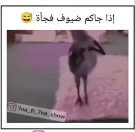 إذا جاكم ضيوف 