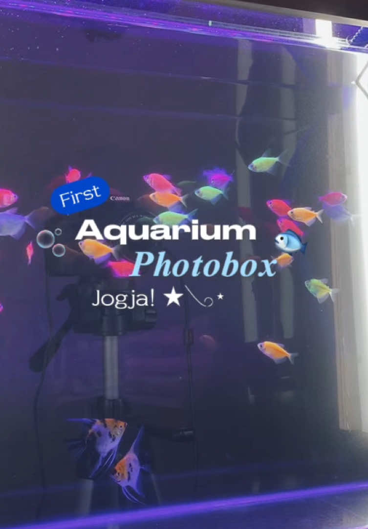new spot in Jogja! 👀 the first aquarium photobox 📍at Dosare, Malioboro. 40k for 2 strips (u can add more prints if u want), & retake freely!  here, a lots of themes to choose from, but this time i tried the aquarium so we could swim with tiny fish.  here also provide diy keychains for the photobox results! 📸 such a cute way to capture memories with ur boo 😆💗 #photoboxjogja #malioborojogja #jogjaplacetogo 
