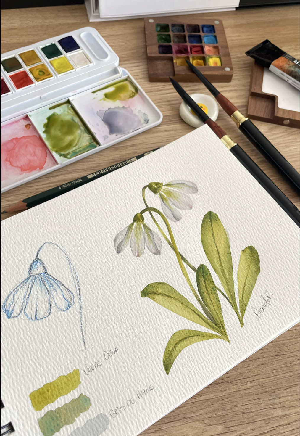 Hoy pintamos una campanilla en acuarela 🌸✨ La paleta que usaremos será: Gris de Payne para los pétalos, Verde Oliva para tallo y hojas, Verde profundo para las sombras, puedes agregarle un toque de azul mezclado con el verde Oliva. Un ejercicio ideal para practicar y darle la bienvenida a la primavera 🫶🏻🌸 Además, te dejo el link para que puedas ver los cursos en @EBAC Latam (ebac.mx) y aprovechar un 55% de descuento usando mi código daniart55 🎉 👉 https://bit.ly/ebacdaniartks  #ebac  #acuarela #watercolorpainting #acuarelasobrepapel 