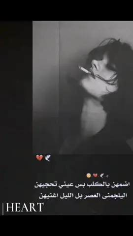 #🇮🇶العراق🇮🇶مشاهير_العرب_تيك_توك #كربلاء_مدينة_العشق_والعاشقين #دي_الشعب_الصيني_ماله_حل😂😂 #الي_الشعب_الصيني_ماله_حل😂😂 ##############