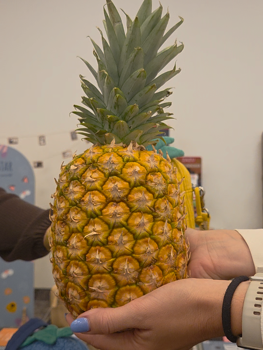 #ananas #aparatydladzieci 