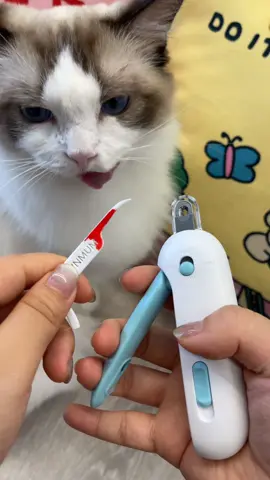 Scared to trim your cat's nails?Here's how i do it safely.#catnails #catnailtrim #catmom #catsoftiktok #tiktokmademebuyit #dealsforyoudays 