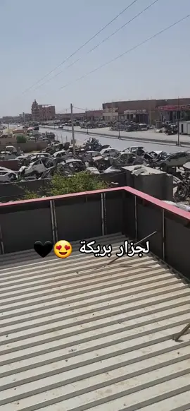 #بريكة_باتنة_جزائر🇩🇿 #بريكة😍_باتنة🤩_مسيلة😘_بلعايبة❤️جزائر #بريكةيادولة_61💪💪❤ 