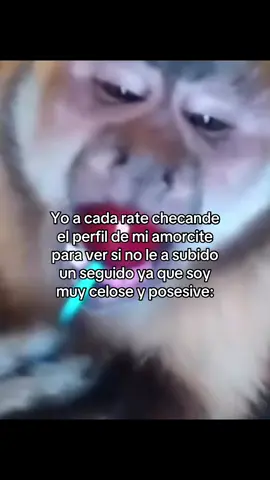 Yooo