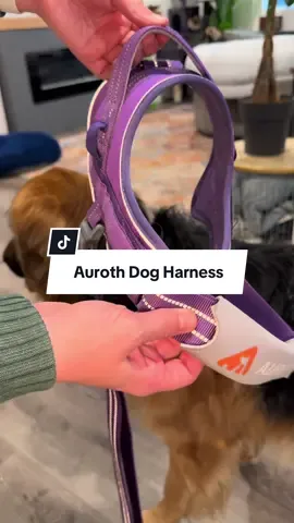 These are great! I had them for a while and they hold up amazingly #goldenshepherd #dogproducts #dogharness #nopullharness #tiktokshopcreatorpicks 