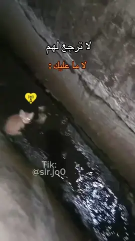 @Sir #يمدي_يمدي #explore #sirjo0 #سراج #اكسبلور 
