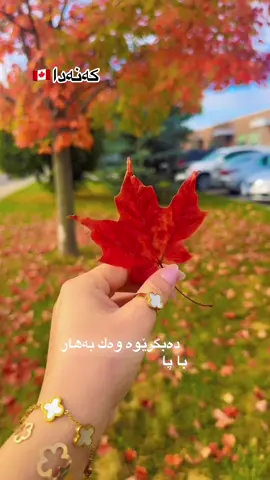 #عەدنان_کەریم #پاییز🍂🍁 #کەنەدا🇨🇦 #canada_life🇨🇦 #kurdmusic 