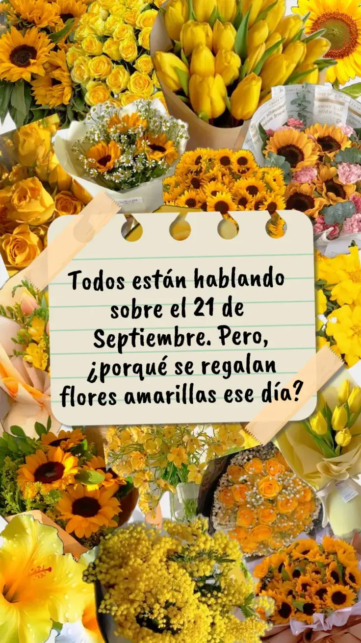 El 21 de septiembre se volvió una fecha muy popular para regalar flores amarillas, sobre todo en países de Latinoamérica, gracias a una tendencia viral inspirada en la canción Flores amarillas de la telenovela argentina Floricienta (2004). 🌼 En la trama, la protagonista soñaba con que alguien le regalara flores amarillas como símbolo de amor verdadero, ilusión y el cumplimiento de un deseo romántico. Con el tiempo, esa idea se extendió en redes sociales y se convirtió en un gesto simbólico que representa: 🌞 Amor y alegría: regalar flores amarillas es desearle a alguien felicidad. 🌼 Esperanza y amistad: son un símbolo de energía positiva y cariño. 💛 Cumplir sueños: muchas personas lo ven como un detalle mágico, ligado a la ilusión de recibir lo que se anhela. El 21 de septiembre coincide también con el inicio de la primavera en el hemisferio sur (Argentina, Chile, Uruguay, etc.), lo que refuerza la idea de celebrar la vida, los nuevos comienzos y la llegada del color. 👉 En resumen: se regalan flores amarillas ese día porque la tradición de Floricienta se mezcló con la celebración de la primavera, y hoy es un gesto viral para expresar amor, amistad y buenos deseos. #floresamarillas #21deseptiembre #fyp #paratiiiiiiiiiiiiiiiiiiiiiiiiiiiiiii #viral 