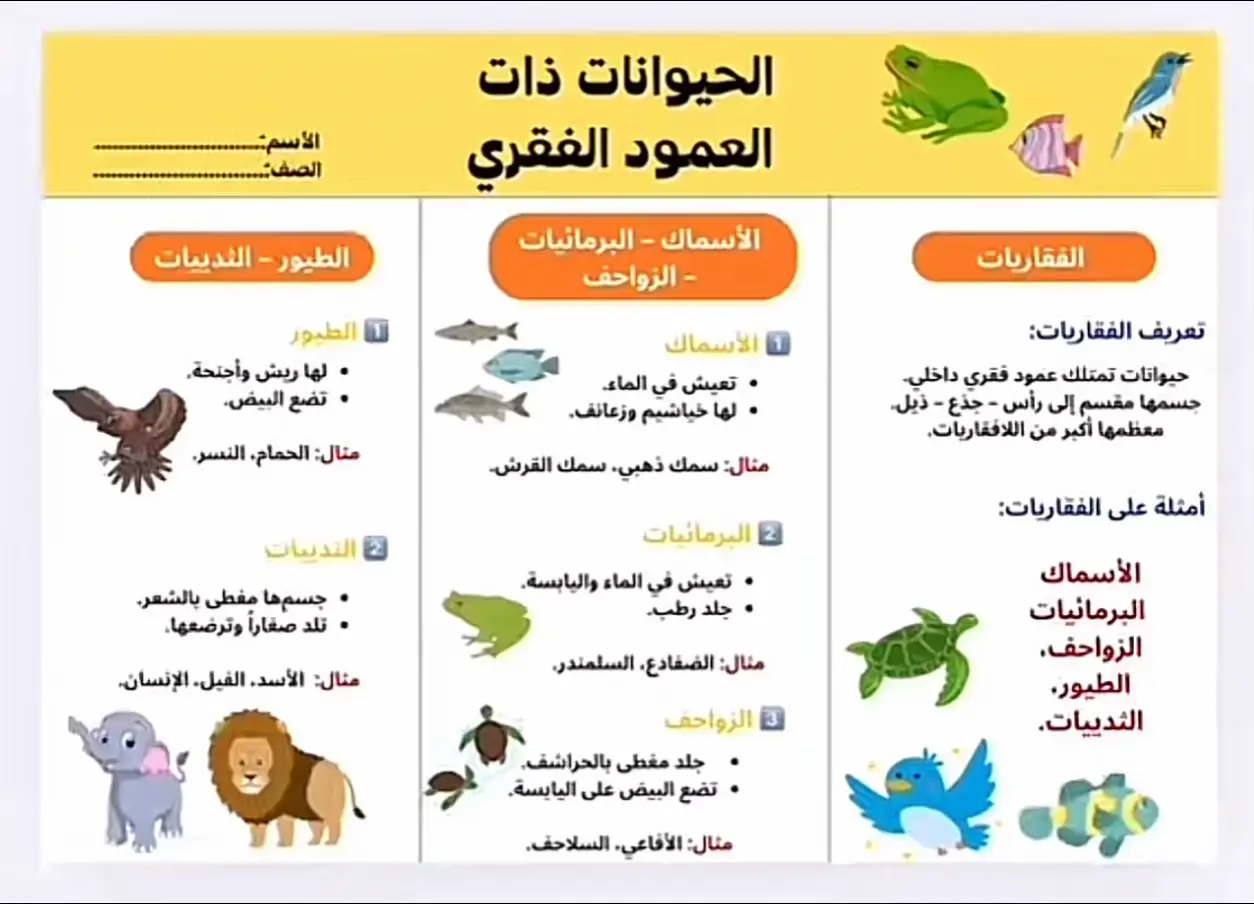 #foryou #اكسبلور #trend #explore #مطويات_علوم 