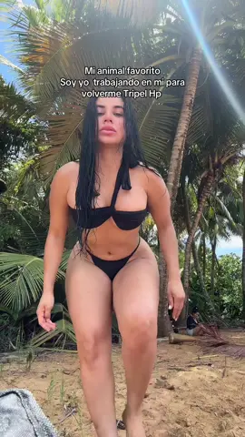 Mi animal favorito soy yo 🐅🐆